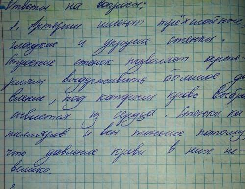 почему артериальные кровеносные сосуды в организме располагаются в более глубоких слоях кожи, чем ве