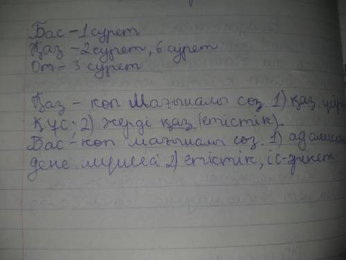 3-тапсырма. Сөздерге сәйкес келетін суреттерді тауып, омонимдік - көп мағыналы қатарды бөліп көрсеті