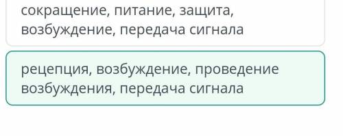 Выбери функции нервной клетки. 1)рецепция, возбуждение, проведение возбуждения, передача сигнала2)со