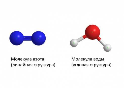 1. Изобрази две модели молекул простого вещества и две модели молекл сложного вещества, подпиши их.