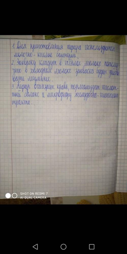 ответьте на следующие вопросы: - Какие бактерии вы использовали дляприготовления кефира?Почему заква