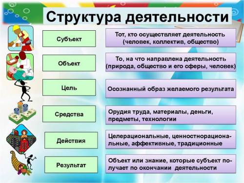 Обществознание. структура деятельности и определения основных понятий. 6 класс