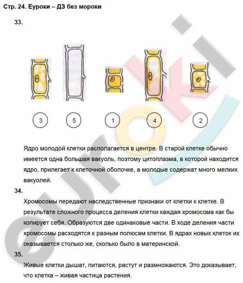 3. Рассмотрите рисунок. ответьте на вопрос и выполните задания. 1) Найдите и исправьте неточность, к