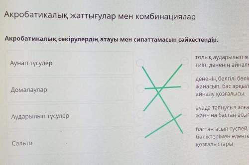 Акробитакалық секулердің атауы мен сипаттамасы сәйкестендір​