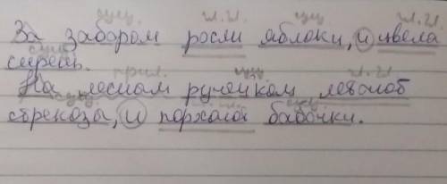 За забором росли яблоки и цвела сирень. Над лесным ручейком летают стрекозы и порхают бабочки. Под