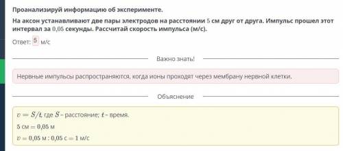 Проанализируй информацию об эксперименте. На аксон устанавливают две пары электродов на расстоянии 5