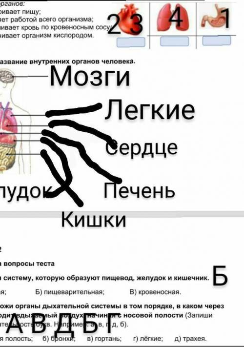 у меня СОР! В 1 задании надо определить ФУНКЦИИ ОРГАНОВ.и записать название внутренних органы челове