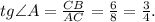 tg\angle A = \frac{CB}{AC} = \frac{6}{8} = \frac{3}{4} .