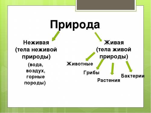 2.Перечислите тела живой и не живой природы