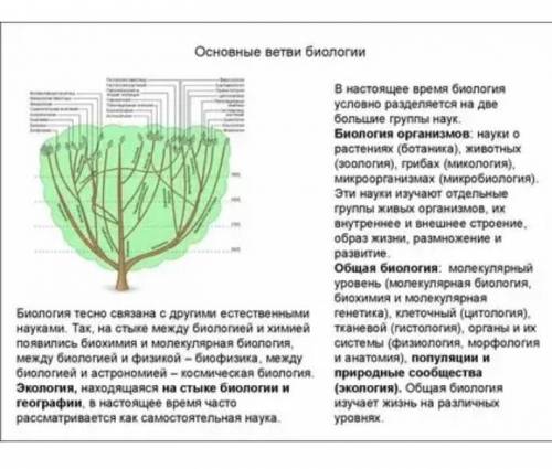 Что такое молодые ветви? в биологии​