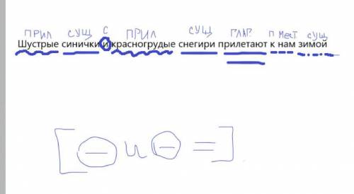 Спишите предложение, подчеркните главные и второстепенные члены. Нарисуйте схему однородных членов.