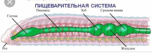 Лабароторная работа в файле это