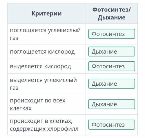 Сопоставь процессы фотосинтеза и дыхания по следующим критериям. ​