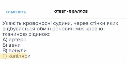 Укажіть кровоносні судини, через стінки яких відбувається обмін речовин між кров'ю і тканиною рідино