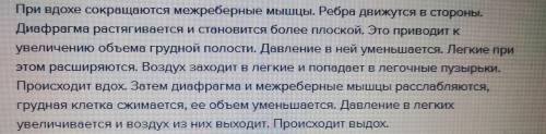 Задание 1 ответьте на вопросы. 1.Какую роль в дыхании играет диафрагма? 2.Роль грудной клетки при д