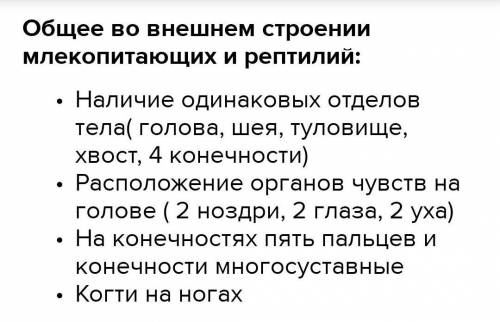 Що спільного й відмінного в зовнішній будові рептилій та ссавців?Які причини цієї подібності та відм