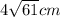 4 \sqrt{61} cm