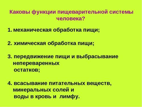 Какова роль пищеварения в жизни человека​