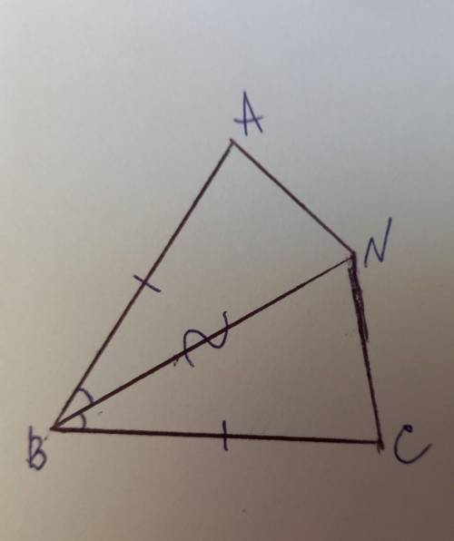 2. Луч BN – биссектриса угла АBС. На сторонах угла отложены равные отрезки АВ и BС. Запишите равные