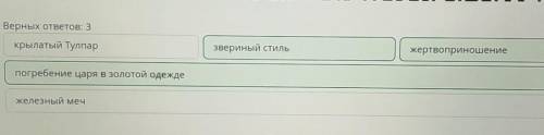 Докажи, что у саков были верования. Верных ответов: 3«звериный стиль»погребение царя в золотой одежд