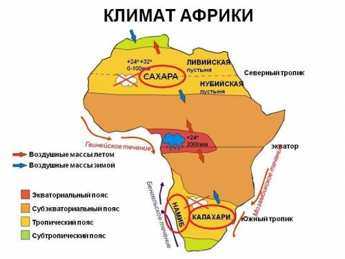 В этом климотическом поясе расположены пустыни сахара, калахари намиб (укажите название пояса)​