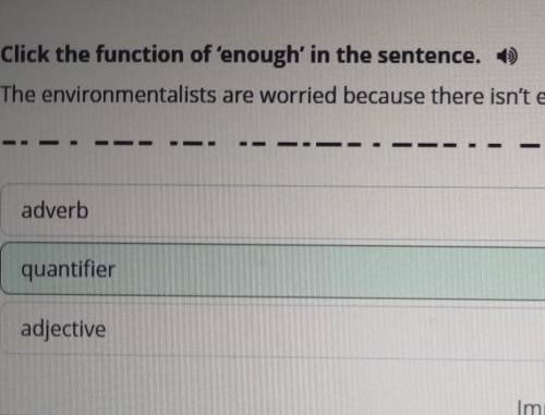 что по онлайн мектеп зелёный? Environmental problemsClick the function of enough' in the sentence. T