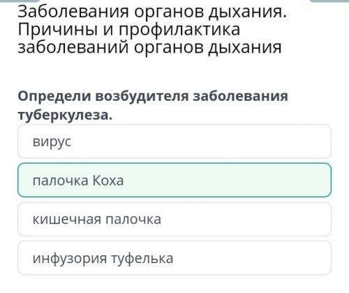 Заболевания органов дыхания. Причины и профилактика заболеваний органов дыхания Определи возбудителя