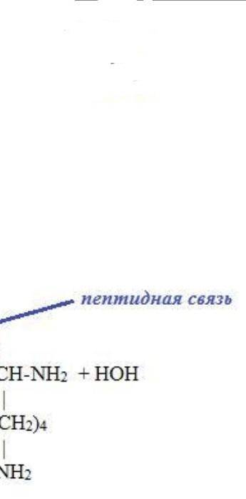 В трех пробирках находятся крахмал, тирозин, аминоуксусная кислота. Опишите идентификацию веществ. 2