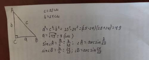 заранее В прямоугольном треугольнике ABC <C=равно 90° гипотенуза C равна 25 см, катет B равен 24