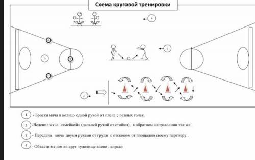 Составьте круговую тренировку для баскетболиста -5-6 станций.