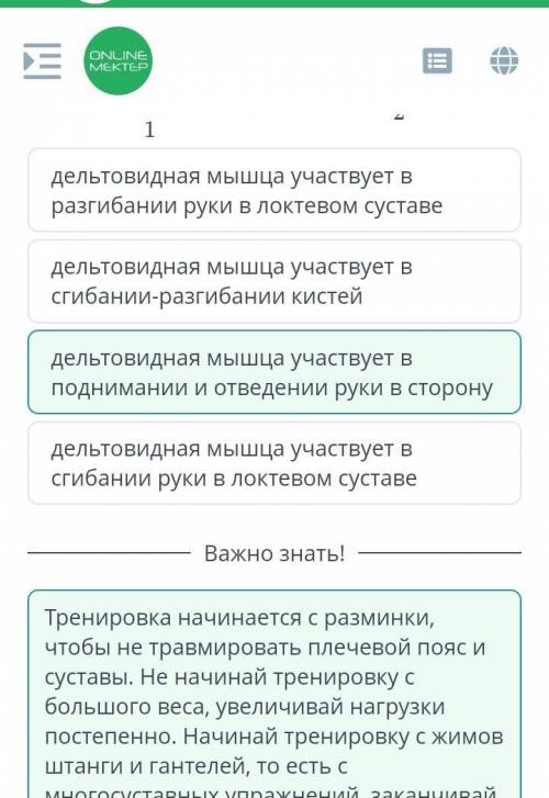 Что свидетельствует о работе дельтовидных мышц в этих упражнениях? 21дельтовидная мышца участвует в