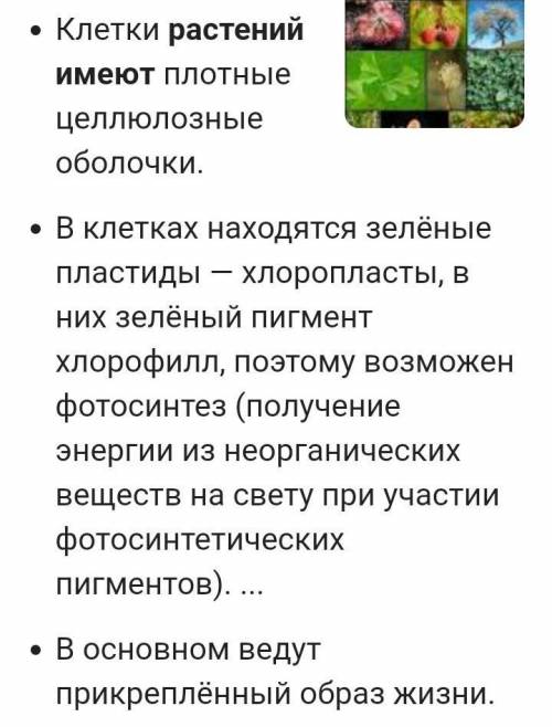 Какие свойство имеют растения?​