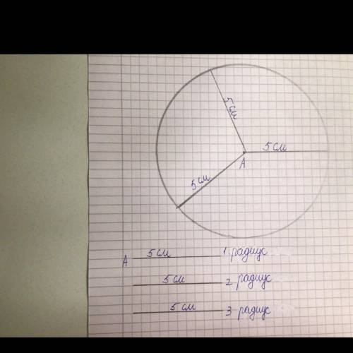 2. Начерти окружность. Обозначь буквой центр окружности. Проведи три радиуса. Как ты думаешь, скольк
