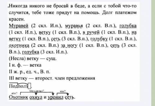 206*. Прочитай. Какова основная мысль текста? МУРАВЕЙ И ГОЛУБКА.Муравей спустился к ручью: захотел н