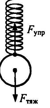Изобразите силы действующие на тело подвешенное к пружинке​