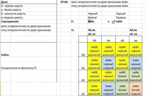 Черная окраска шерсти доминирует над белой, мохнатая форма шерсти - над гладкой. Гены окраски и форм