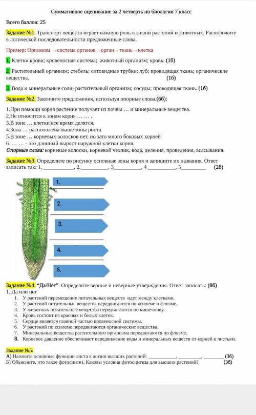 Соч по биологии за 7 класс 2 четверть​