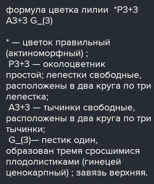 Определите число чашелистиков, лепестков, тычинок и пестиков. Запишите формулу цветка