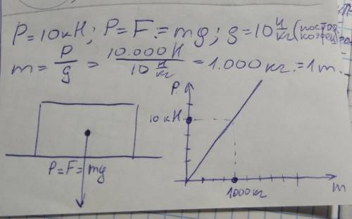 Тело имеет вес 10 к Н.Определите его массу.Изобразите эту силу графически