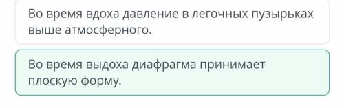 плз Во время вдоха давление в легочных пузырьках выше атмосферного.Во время вдоха ребра грудной клет