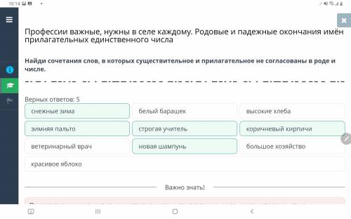 Найди сочетания слов, в которых существительное и прилагательное не согласованы в роде и числе.Верны