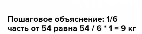 1. реши задачу. В столовую привезли 54кг овощей. На обед израоходавали 1/6 часть. Сколько килограммо