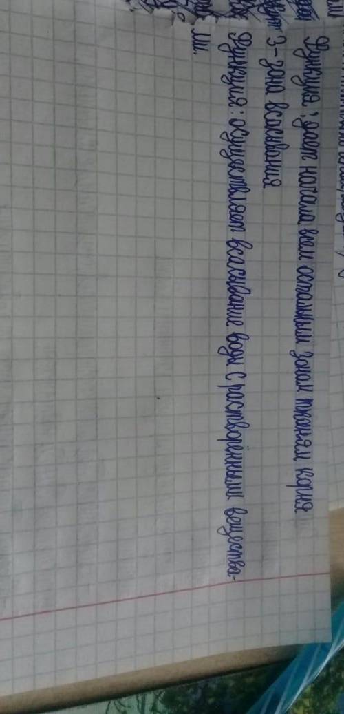 Назовите органы, обеспечивающие транспорт веществ у растений. [2] 7. Рассмотрите изображение. Укажит