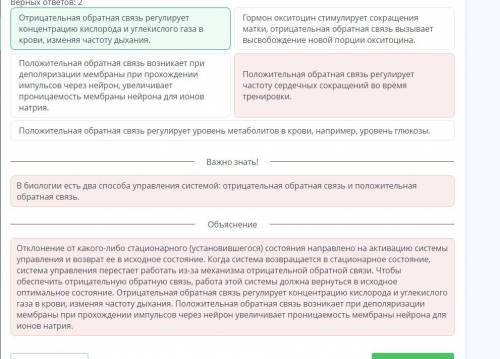 Выбери правильные выводы из предложенных Верных ответов 2: Отрицательная обратная связь регулирует к