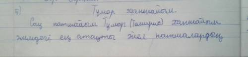 Напишите небольшое эссе на тему Тумар ханшайым сохраните стиль 50-60 слов используя в работе положит