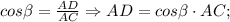 cos \beta=\frac{AD}{AC} \Rightarrow AD=cos \beta \cdot AC;