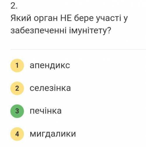 2.Який орган НЕ бере участі у забезпеченні імунітету? печінка апендикс мигдалики селезінка