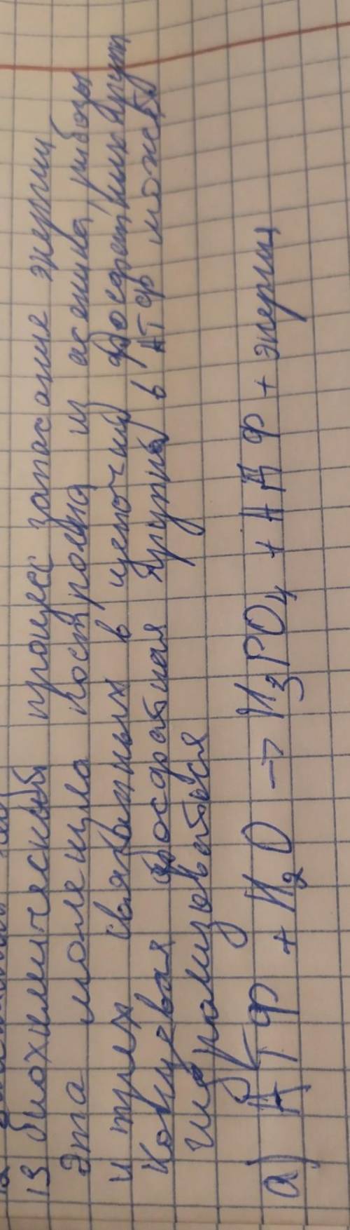 13. Под влиянием чего молекула АТФ подвергается гидролизу? 13 (a). Записать формулу гидролиза АТФ ​