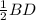 \frac{1}{2} BD