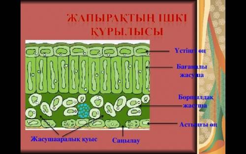 Керек болыптур отыныш комек